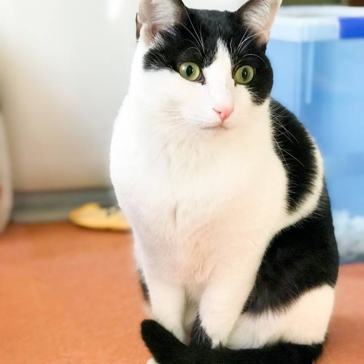 4bd6b081 b95a 4ab4 a3a8 0fad70dece83 1513654532744