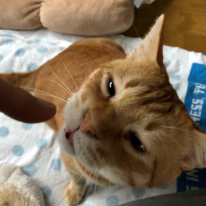 4bd6c4f9 0e03 4bb0 9d84 2ffda6f88f65 1561665947329