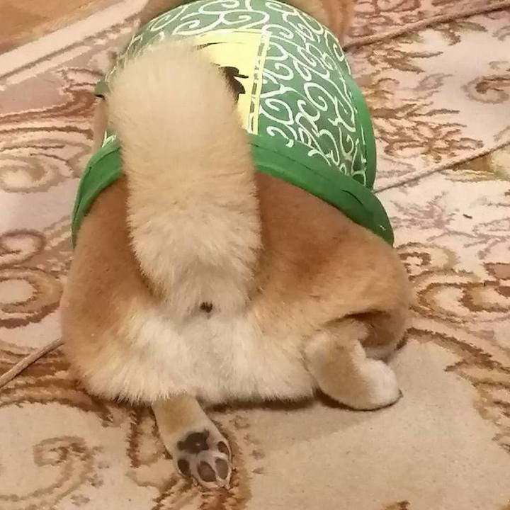 4bd6c841 9bc8 47a5 9e3f 4e5fe7882914 1586683581787