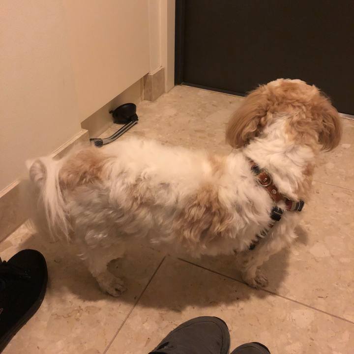 4bd6c99e 3446 4279 b593 a4b3f6eccc29 1541368436768