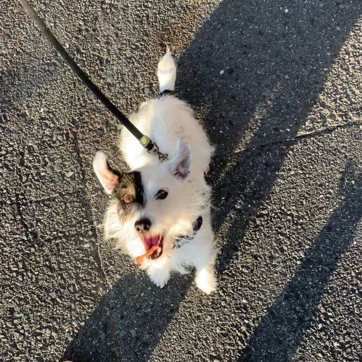 4bd6f71e bcb8 475f 89ec 296f0645428a 1664181919319