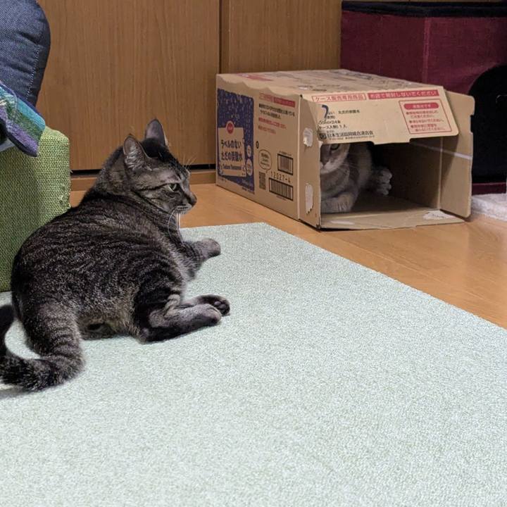 4bd70ad1 488c 471e 9eed a216fb66eb34 1753772783530