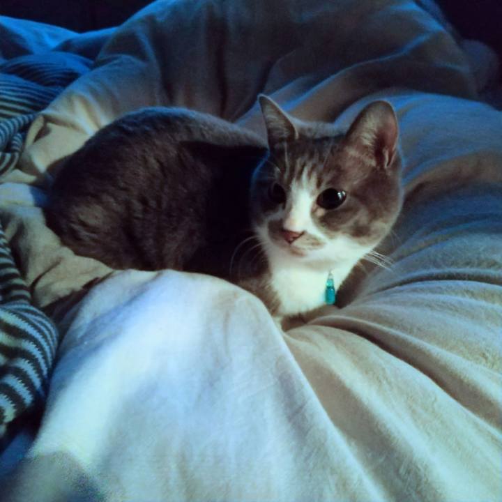 4bd738bd b2f0 4584 84ac 99a40aed252b 1645566062830