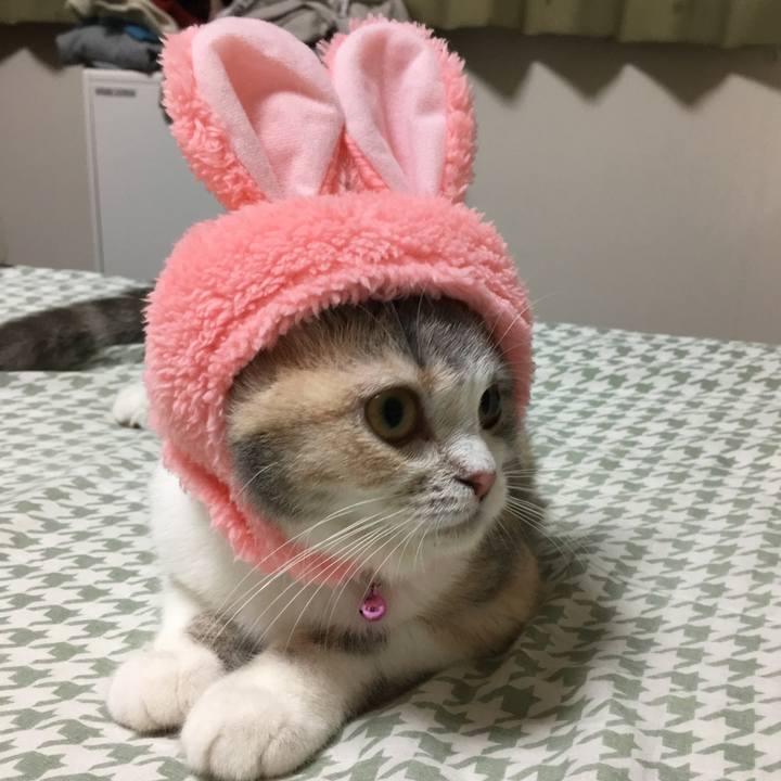 4bd7526e 5ae4 49ff 82ad 85f78d3638cb 1537783005414