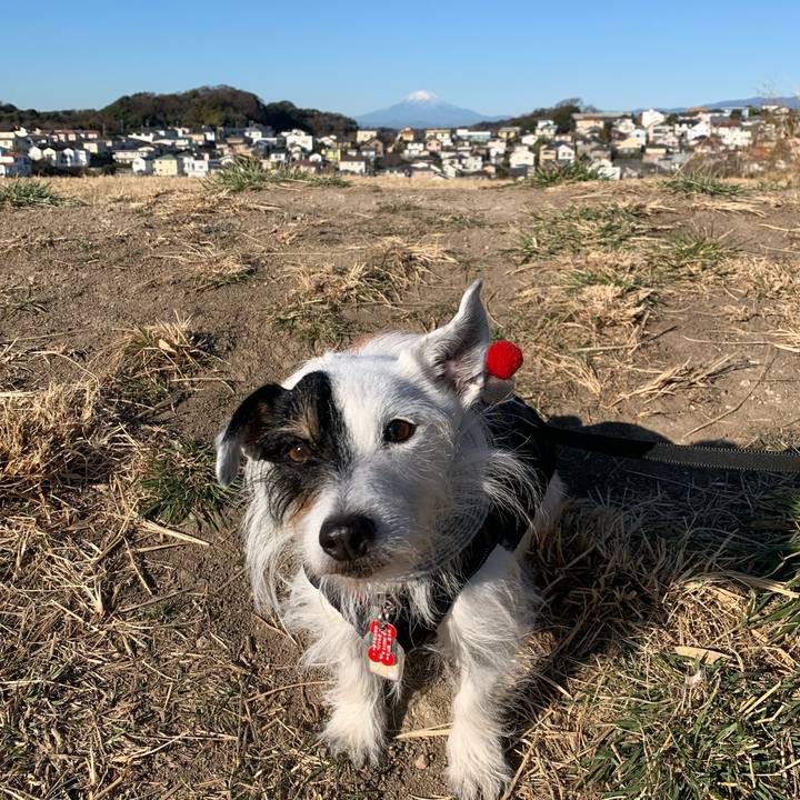 4bd764ca 2f24 4017 90ba e394c52f6d87 1705451682244