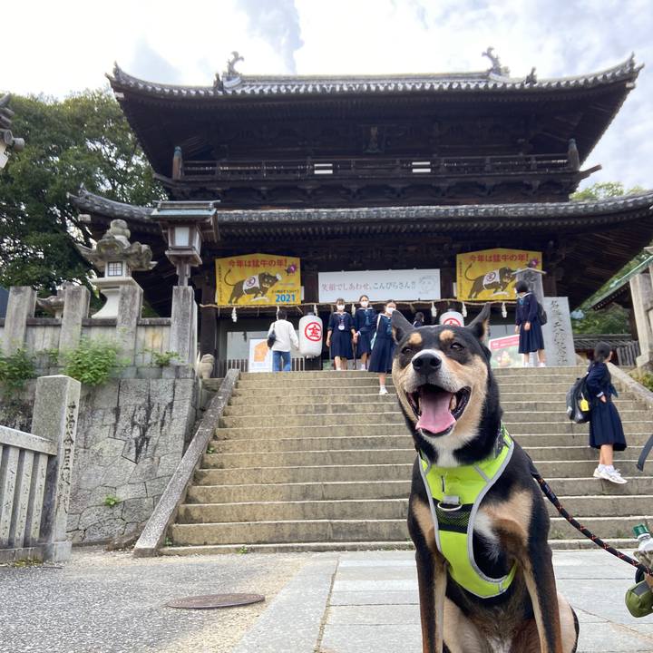 4bd78642 9242 4d52 b31a da923d394d50 1635327513634