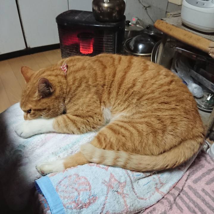 4bd7d064 44e7 45d8 9604 e0286e033eed 1607811756525