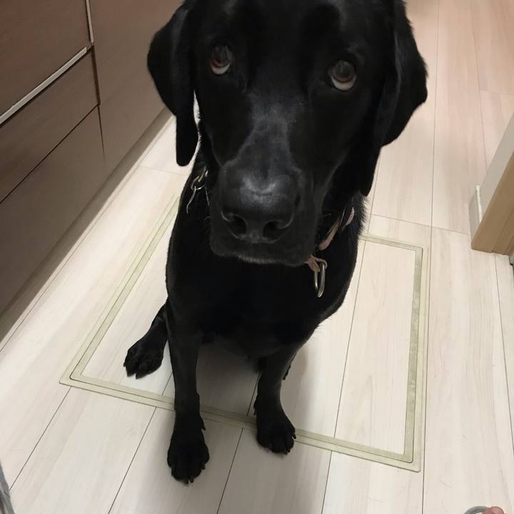 4bd7e7ce c612 4a1b babf 558134aa8863 1571050625970