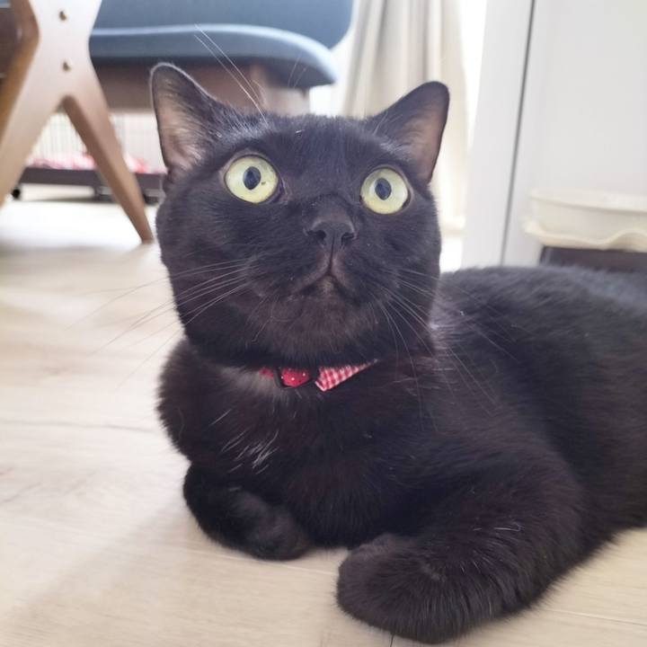 4bd81200 582f 42f7 a438 1685d86e4bd2 1693347686962