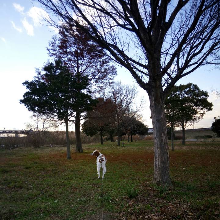 4bd82e94 e293 4b43 8914 03f4535ed9a2 1514274768645