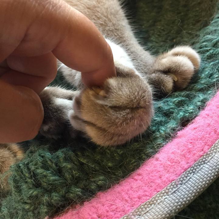 4bd83b4a 9714 4e88 8f31 c064d2869142 1565170530393