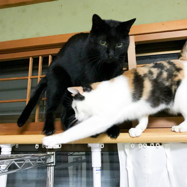 4bd88140 10cb 4bd5 9c71 a890d3144f26 1515415365794