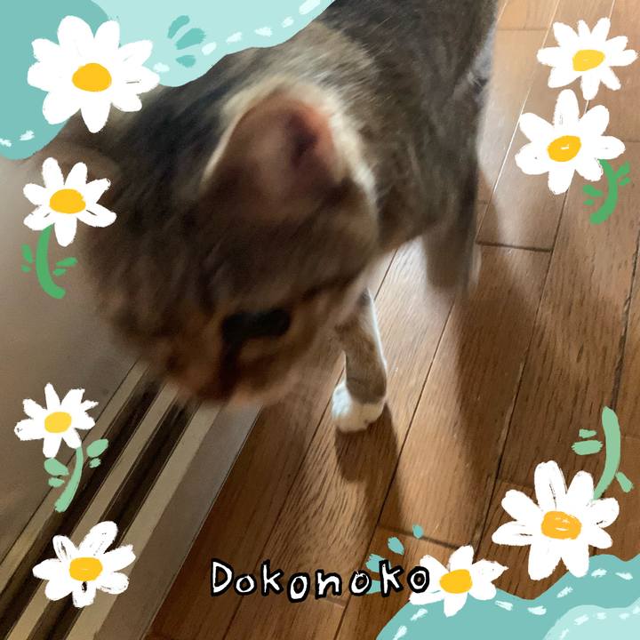 4bd88b1a 640b 486d 9a4d 95f6cca4b6b9 1712274119815