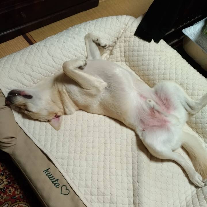 4bd8a8b4 e2b6 43ee a0d4 d3ebd037974c 1624722247159