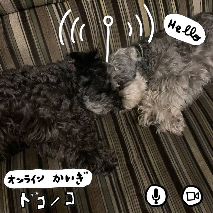 4bd8aa79 3a77 4b5e aab0 a40327d97ada 1591368017988