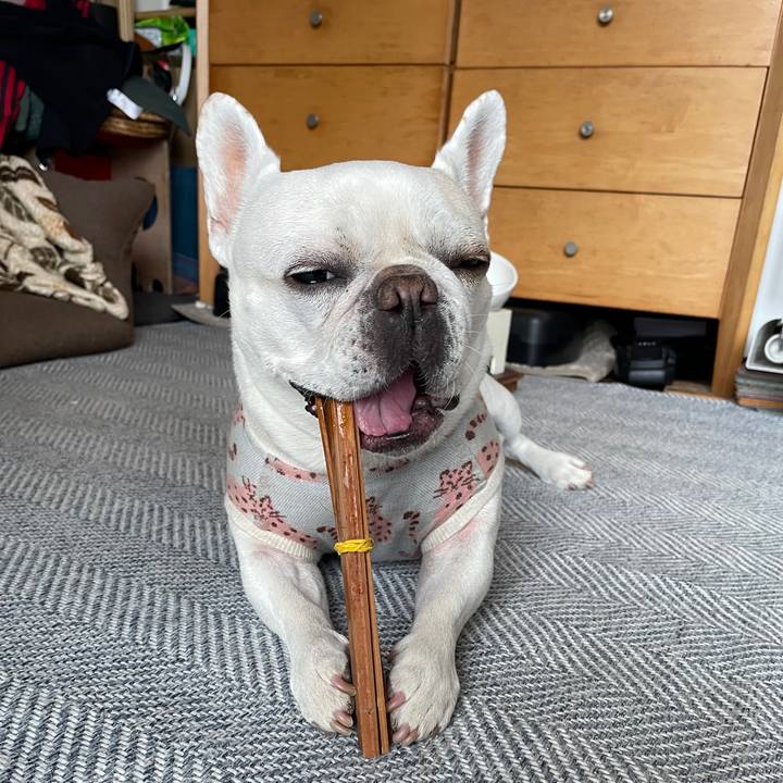 4bd8b07d b661 4e3a 8d40 ae5657a39d45 1743979456745