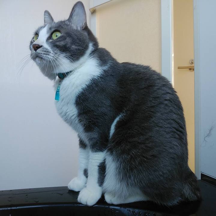 4bd8c404 c6ec 4706 a59a 9963cf27da43 1641010408538