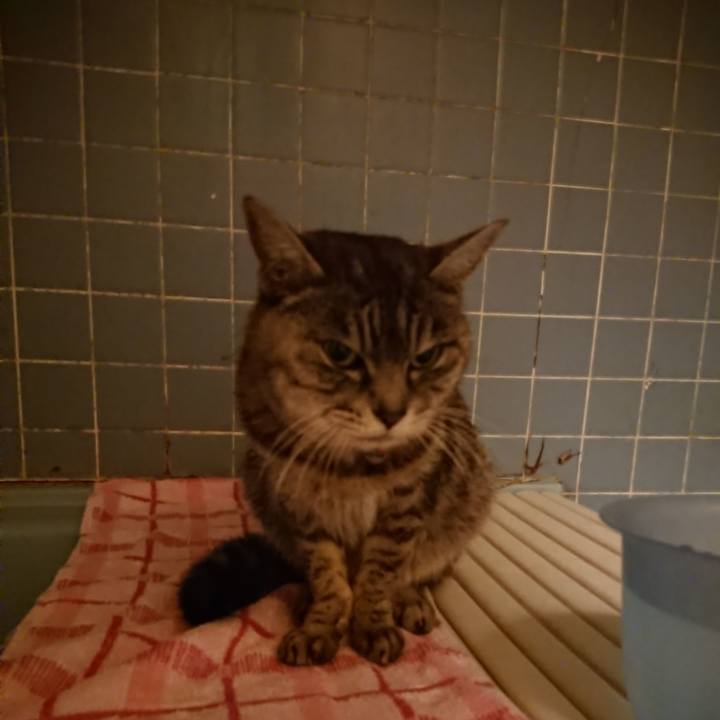 4bd8e8f5 dff3 4749 9ac5 44bed73c8ca3 1580290348387