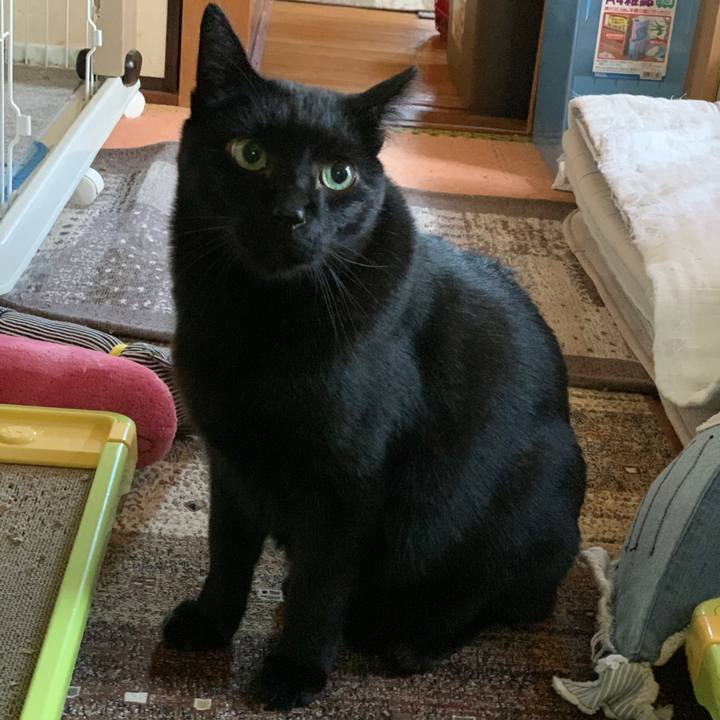 4bd90835 301d 463a 92db aa2b67d07c7f 1577755236691