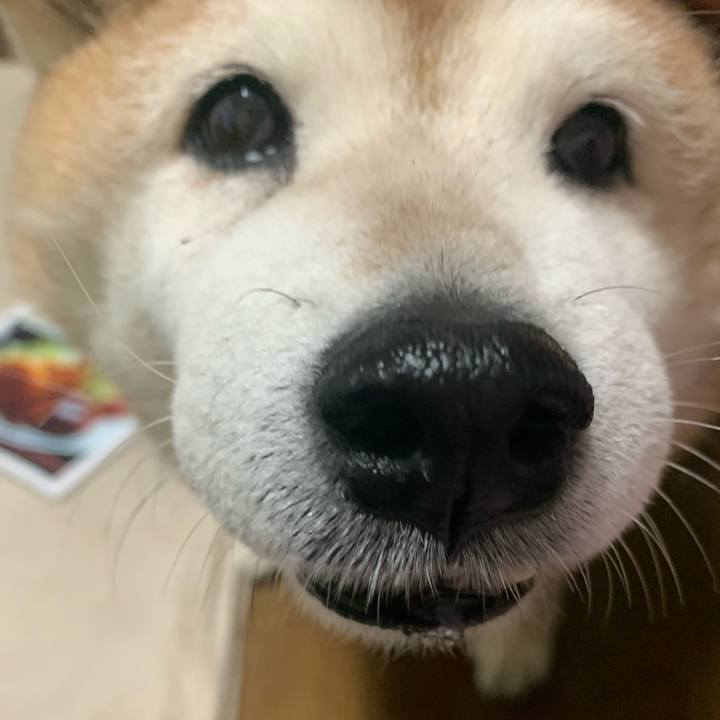 4bd90b5e 5461 4c3b b6c2 d3601b3aa0ed 1619687597804