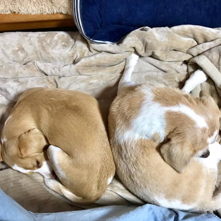 4bd92613 b35d 42f8 82d4 476a19223b07 1558218522622