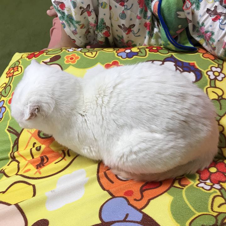 4bd952e0 ad08 4835 a6e9 9bc1c8f160b7 1523263122660