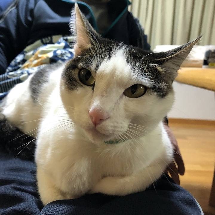 4bd96749 25a6 41f2 b453 c9958940e5ed 1642598926592