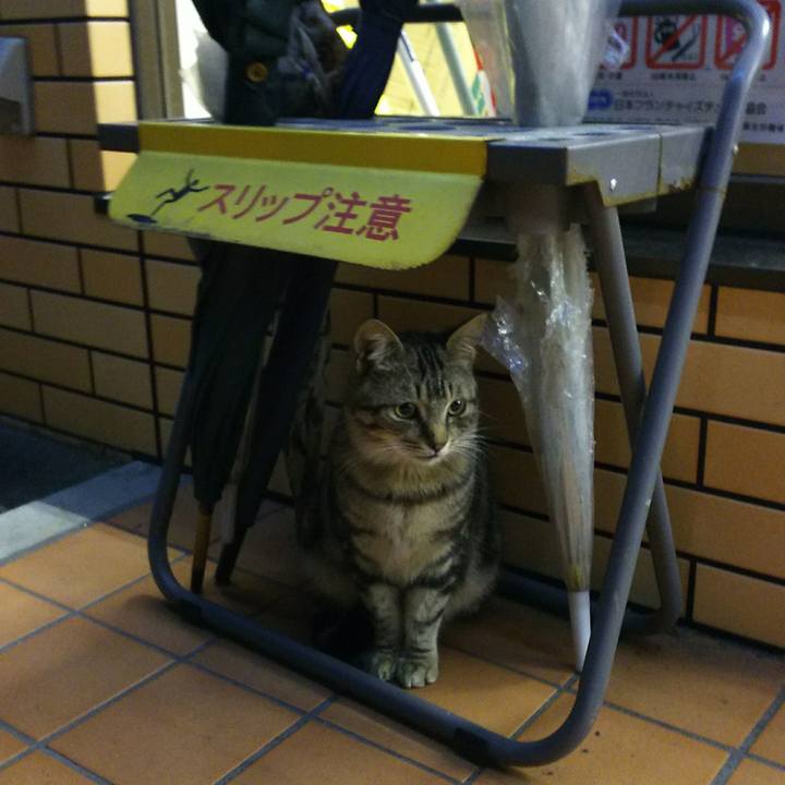 4bd981c1 f5aa 4df5 8136 186348846427 1523405361909