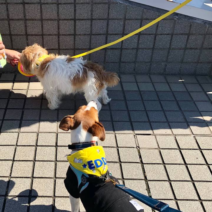 4bd9a51c 520b 46ff a39d e848a934b526 1603620068745