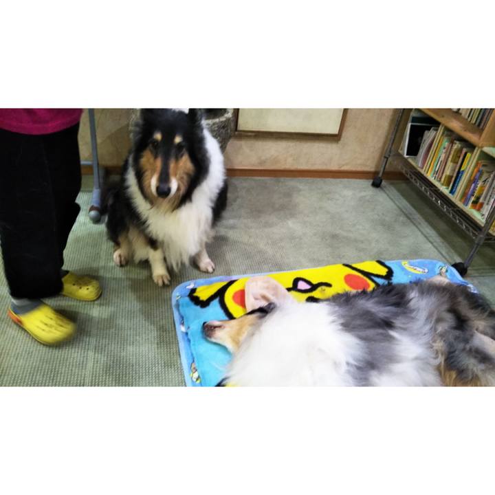 4bd9b186 99d2 4adc 9bf6 2dfedbeac368 1577615993231