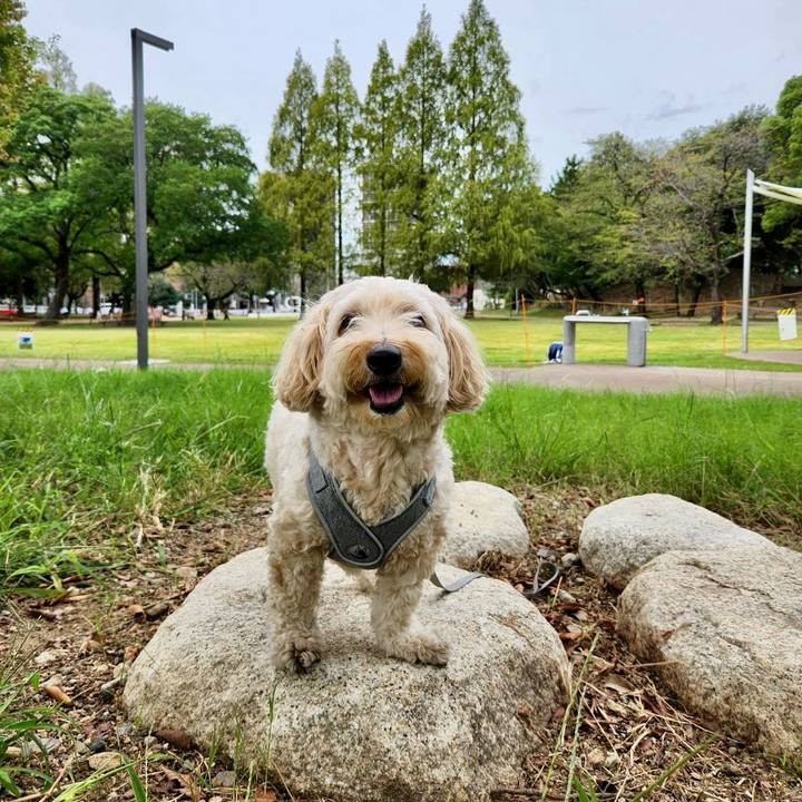 4bd9cf96 0da0 4ff3 9b09 d0f04141327b 1759464191488