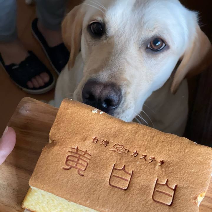 4bd9df46 4d8b 4472 a738 408e5d59286c 1650179606233