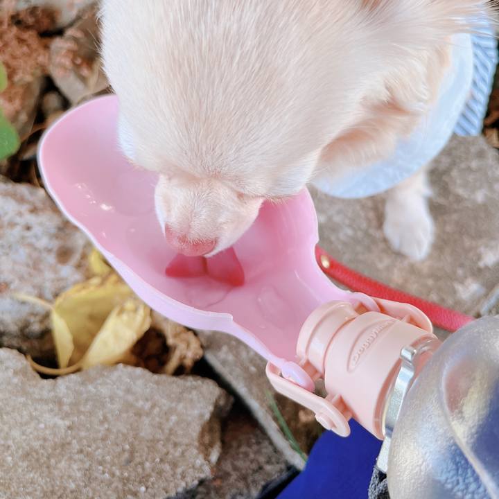 4bd9ec98 3479 4ceb 82d3 78bf79b88e74 1656065052782