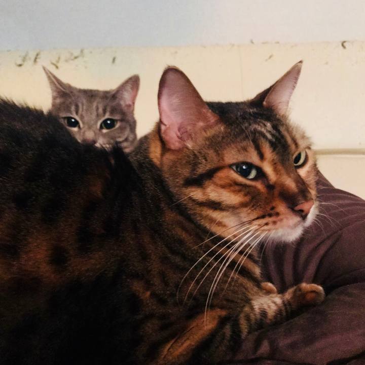 4bd9f7d0 3adc 445a 8dd9 cfd2fcce5996 1512130570326