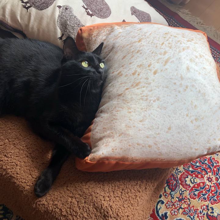 4bda0845 3431 4e89 b410 6274aa7eed1d 1553921288380