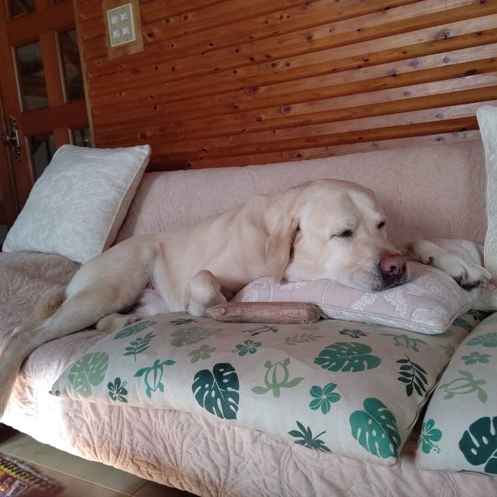 4bda182f 04c1 42b8 ba94 b5333bed4e99 1668822547852