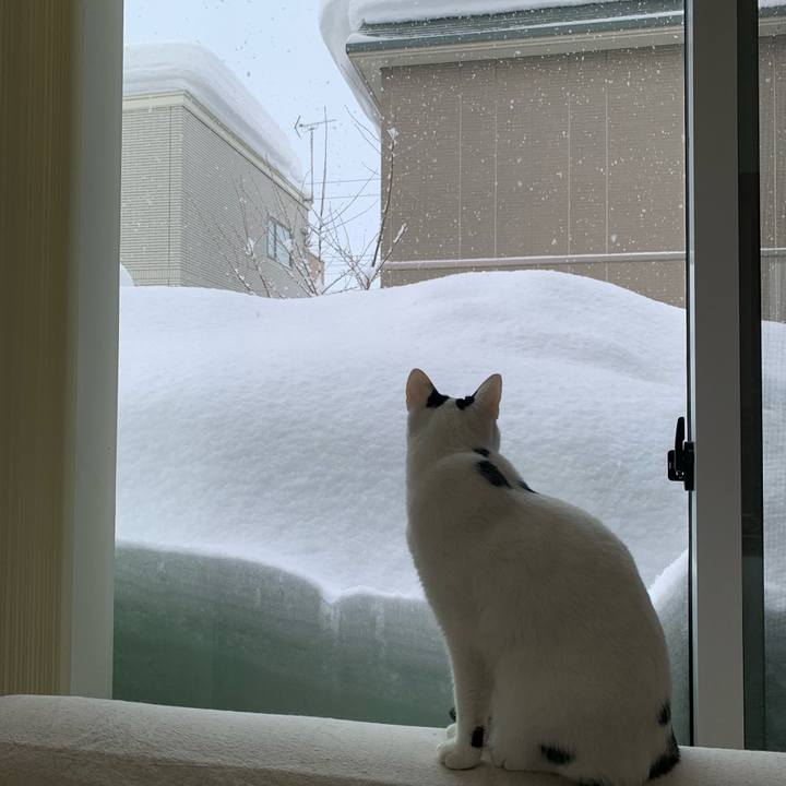 4bda28ac 6591 4987 b8cb 6bd388a54e9d 1645567497729