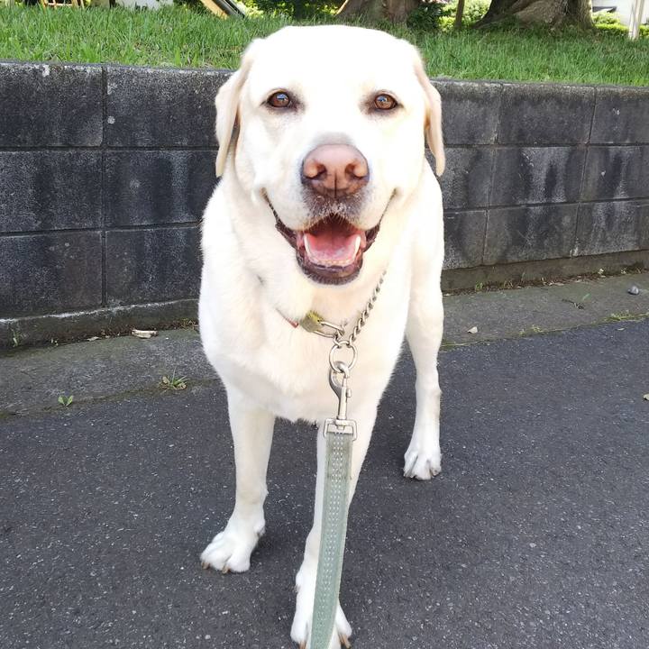 4bda3460 2784 41f3 a56b 71fa25404e57 1560391050187