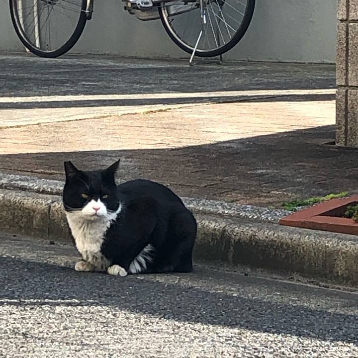 4bda3ec3 4b06 4f19 aa6b 85933e287046 1551523021487