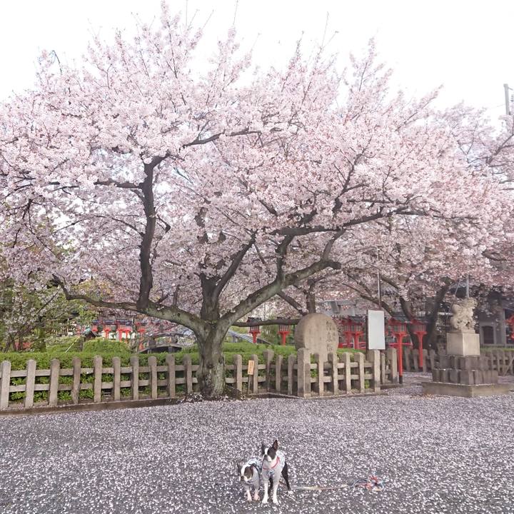 4bda58cb 3eae 4320 853e 15ae94251a7e 1554935851305