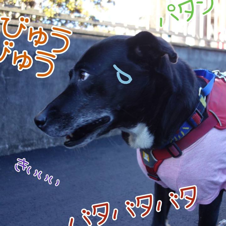 4bda5f58 04f0 4e19 8bda 3495d8dda2ab 1673312967911