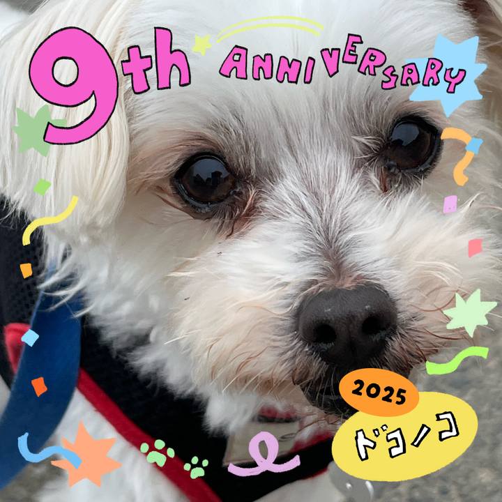 4bda860a b5ae 4e6a 9799 f9e1365719d8 1749172103885