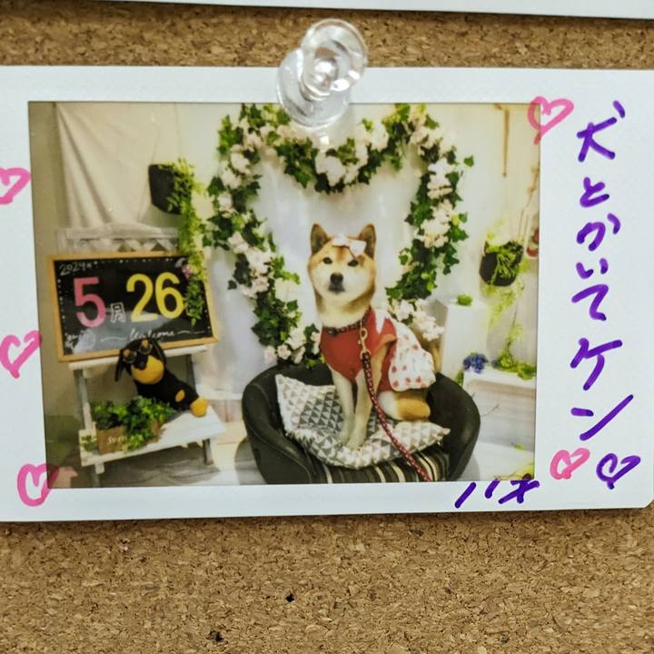 4bdaa02e ec66 4852 bd48 384e2e4387ae 1716823997745