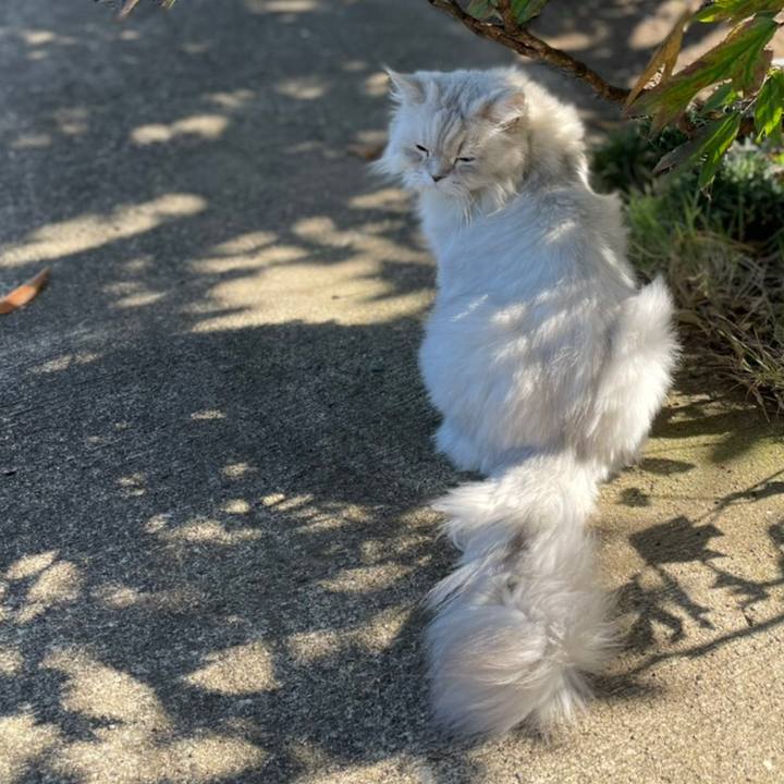 4bdae3c5 76ee 4f9d 9b20 092e6d4ff182 1629957942762