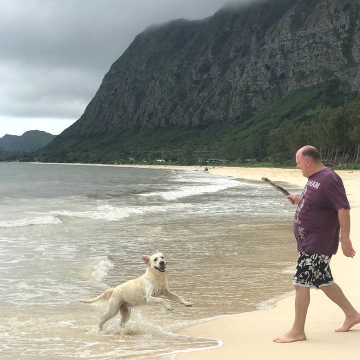 4bdb51f3 1de7 4b21 83e3 280631a51e3e 1525583013097