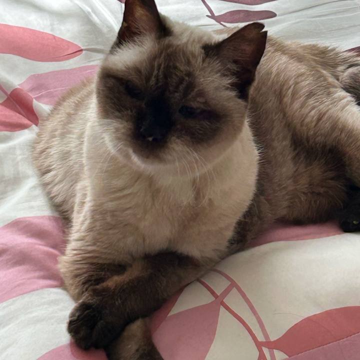 4bdb6cf3 ee67 4c40 b2d6 a9631c61fcdd 1695688503981