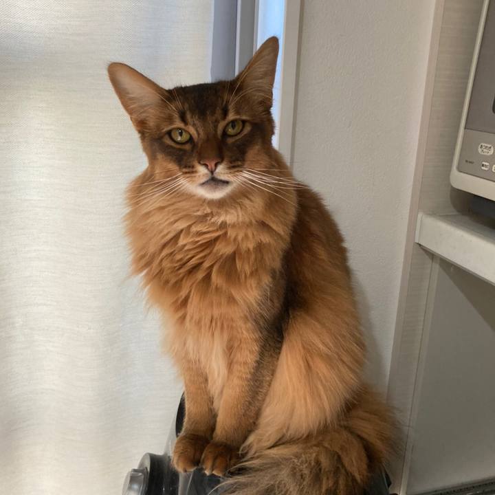 4bdb751c e469 49d7 ba1d 32250a27c3b3 1624238399396