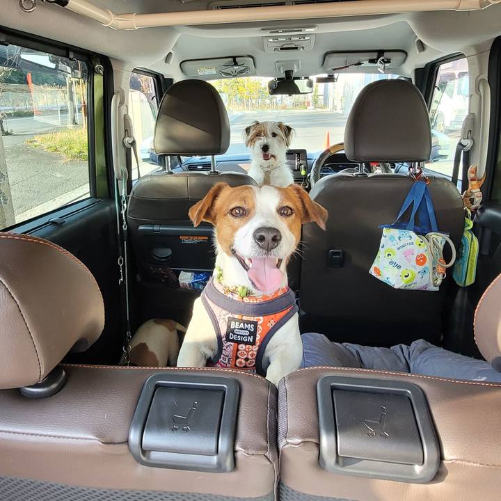 4bdb9d81 a88e 47d0 bf0c ce526c682856 1710655120140