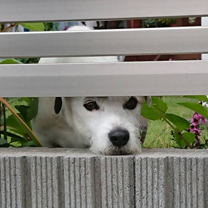 4bdbeece d132 4fbf bf7f 6ec6d1f8780f 1528845371054