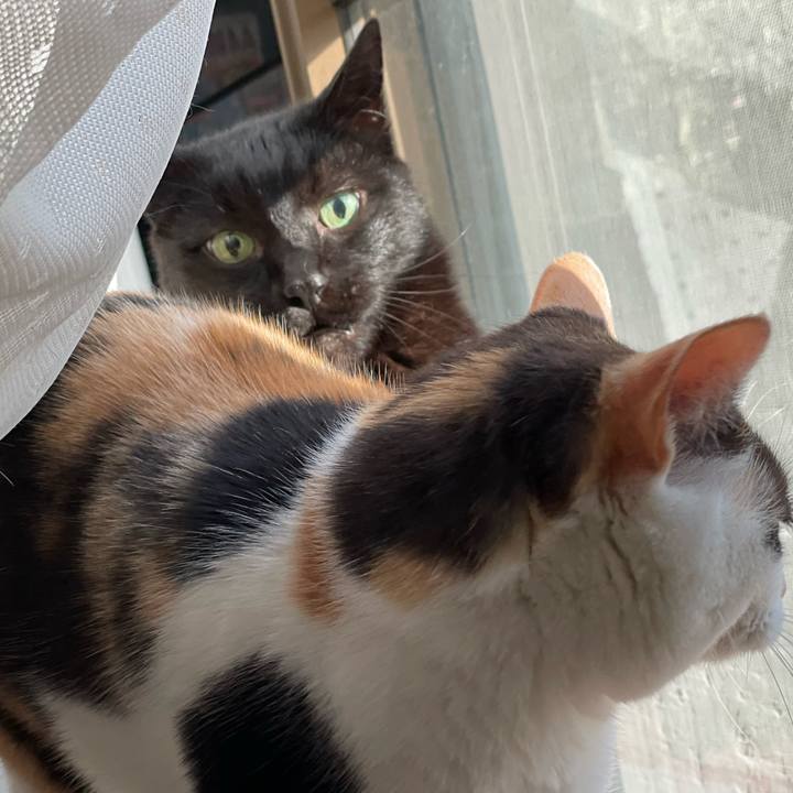 4bdc0bae 60bd 496d 9c9b 1668cdd9f3b2 1646531030208